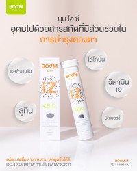 ส่วนประกอบสำคัญใน Boom iZ