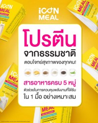 iCon Meal มีโปรตีนจากธรรมชาติ สารอาหารครบ 5 หมู่