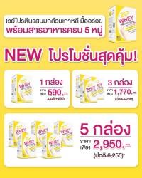 โปรโมชั่นสุดคุ้ม เวย์โปรตีน Zip Whey Protein Plus