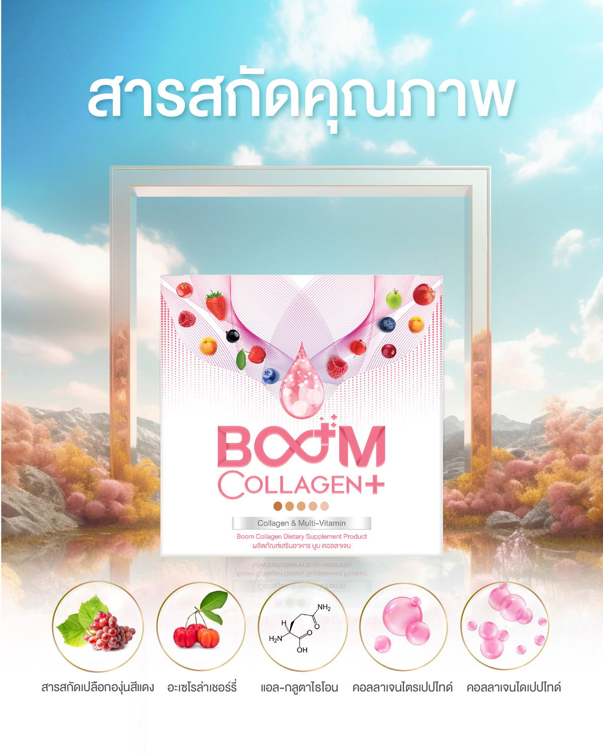 สารสกัดคุณภาพใน Boom Collagen Plus