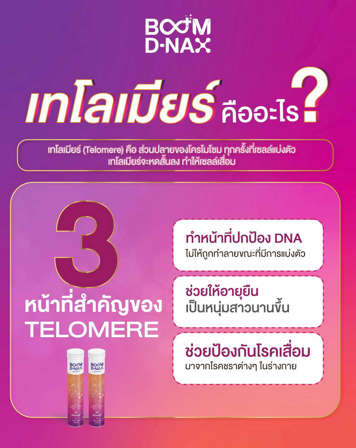 3 หน้าที่สำคัญของ Telomere