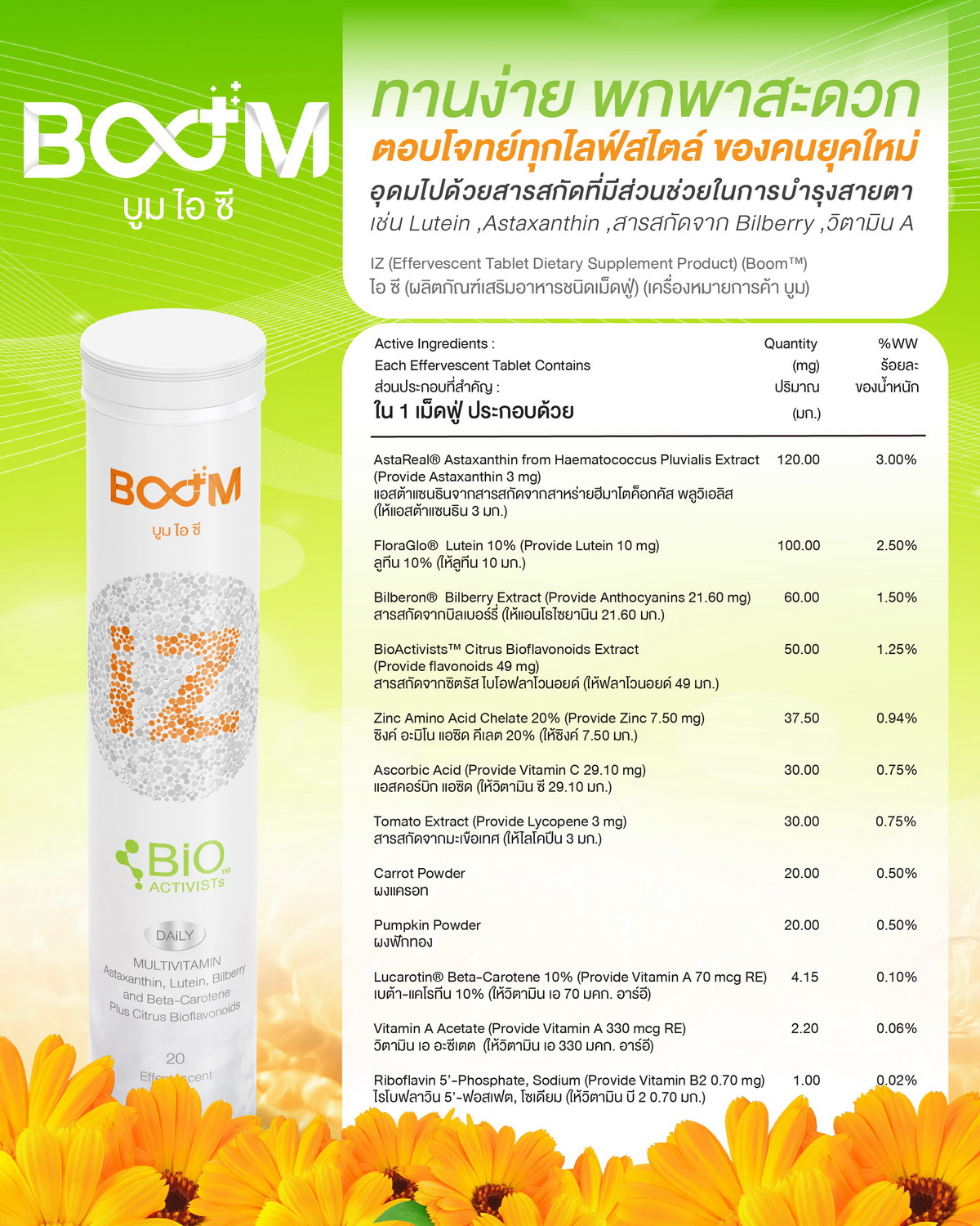 ส่วนประกอบที่ถูกคัดสรรรวมมาไว้ใน Boom iZ