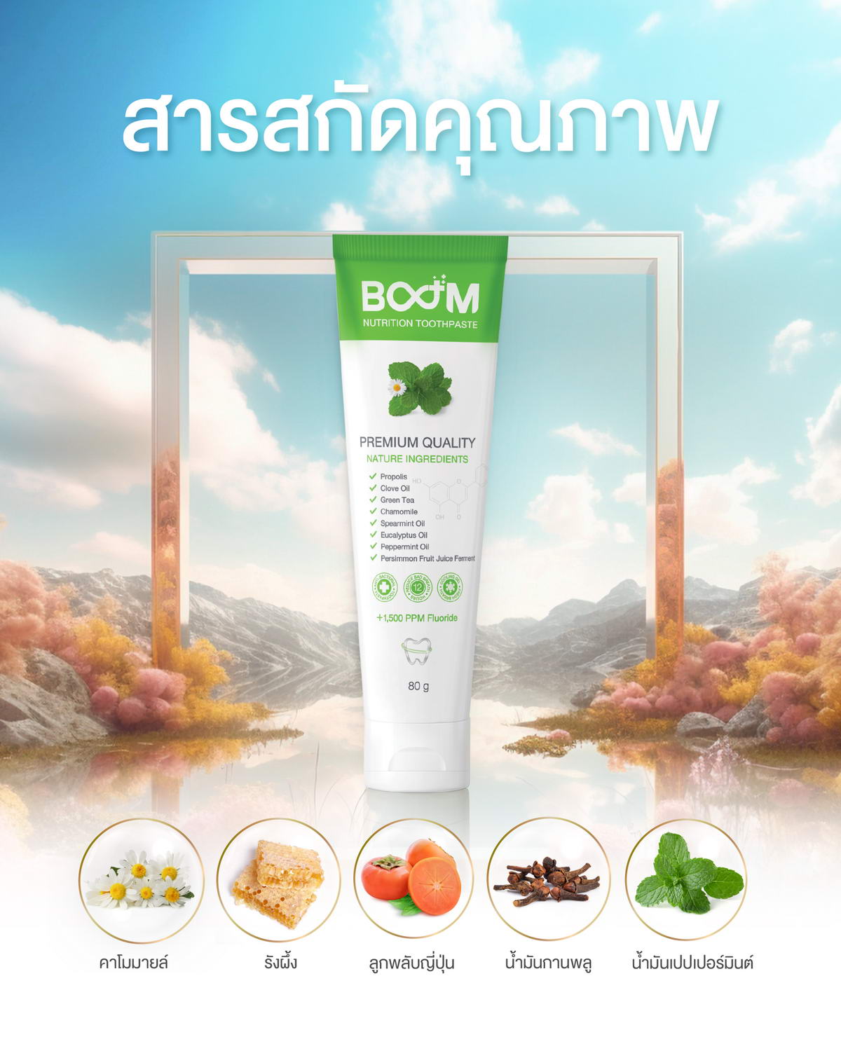 Quality Ingredients in Boom Nutrition Toothpaste