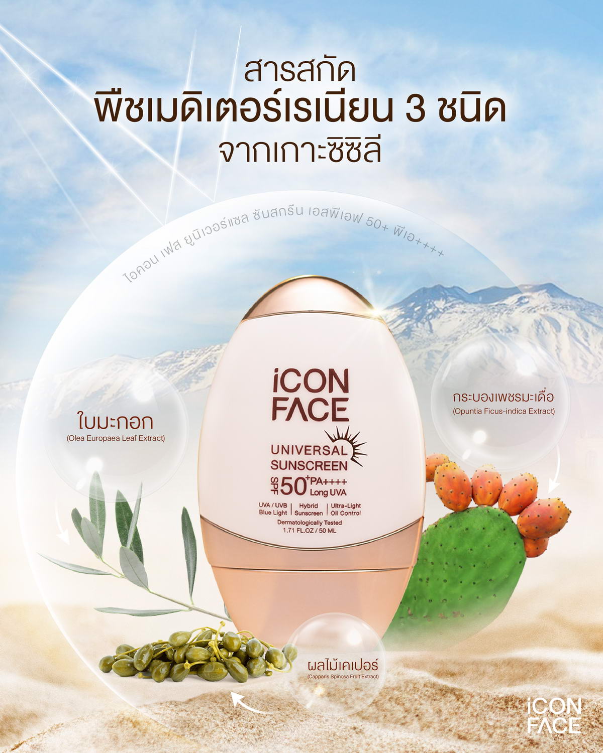 iCon Face Universal Sunscreen มีสารสกัดจากพืชเมดิเตอร์เรเนียน 3 ชนิด