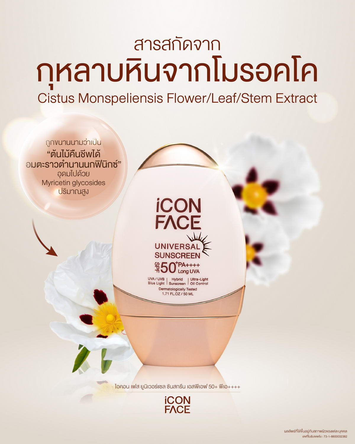 iCon Face Universal Sunscreen มีสารสกัดกุหลาบหินจากโมรอคโค