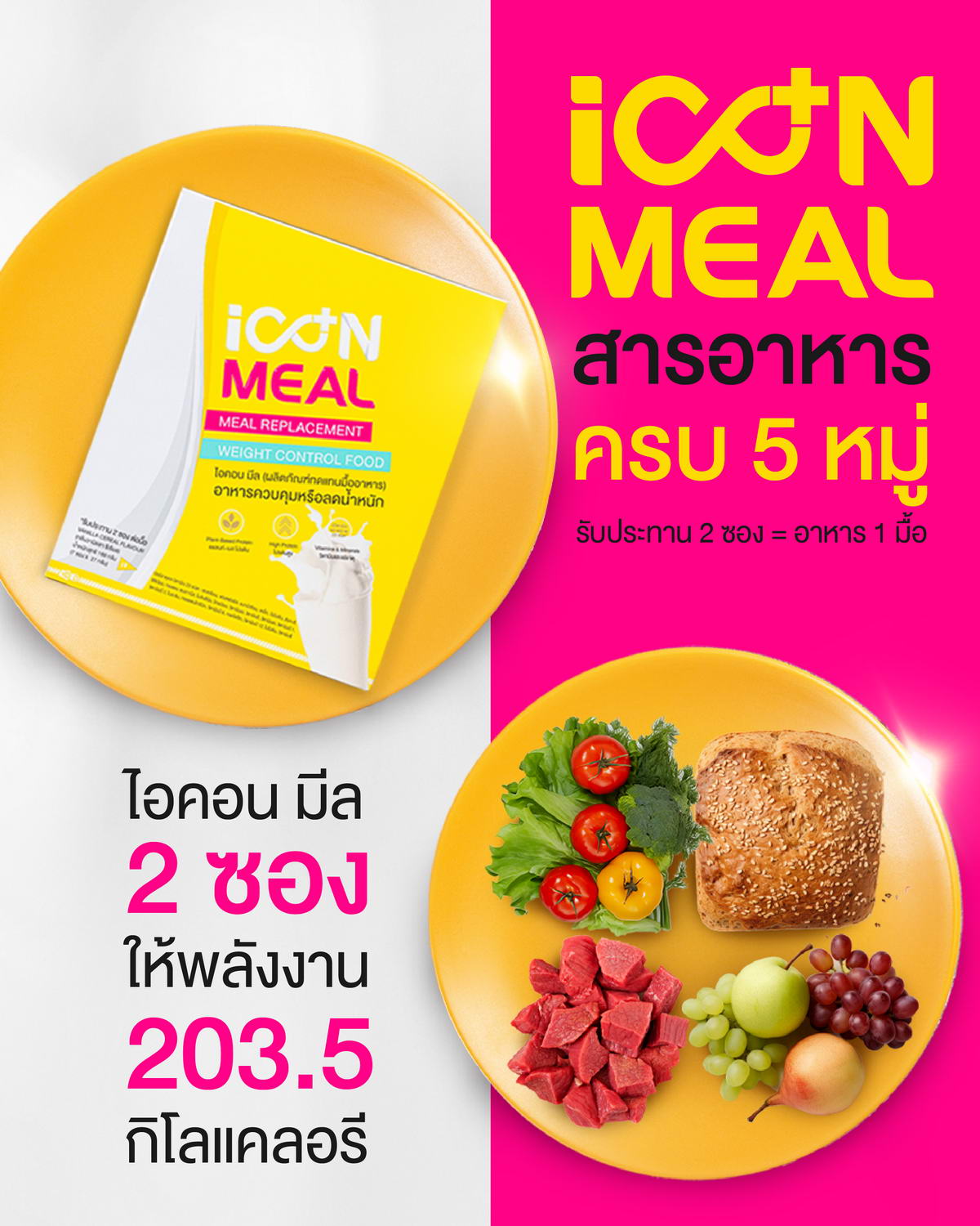 iCon Meal สารอาหารครบ 5 หมู่