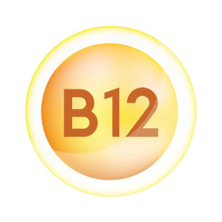 Vitamin B12