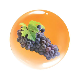 Grape Seed Extract