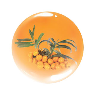 Sea Buckthorn Extract