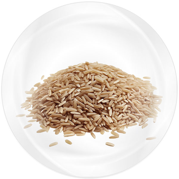 Brown Rice Protein (โปรตีนจากข้าวกล้อง)