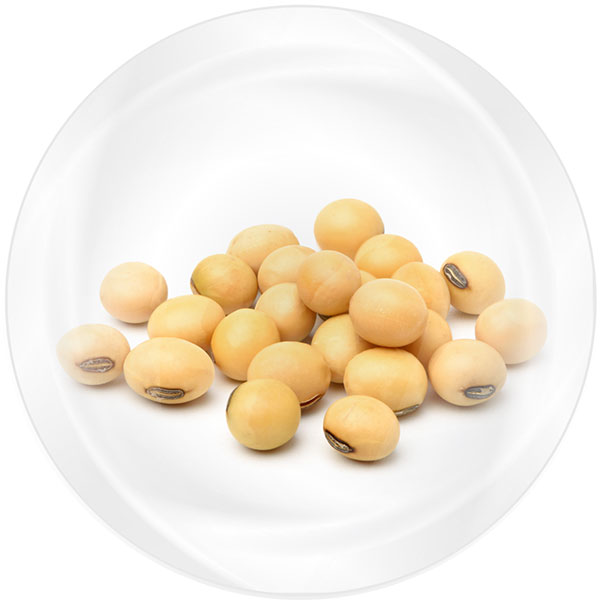 Soybean Protein Isolate