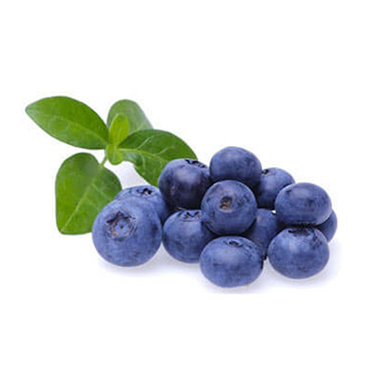 Bilberry