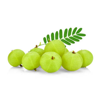 Emblica Extract - Extract from Indian Gooseberry