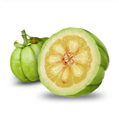 Garcinia Extract