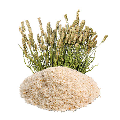 Psyllium Husk