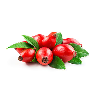 Rosehip Extract