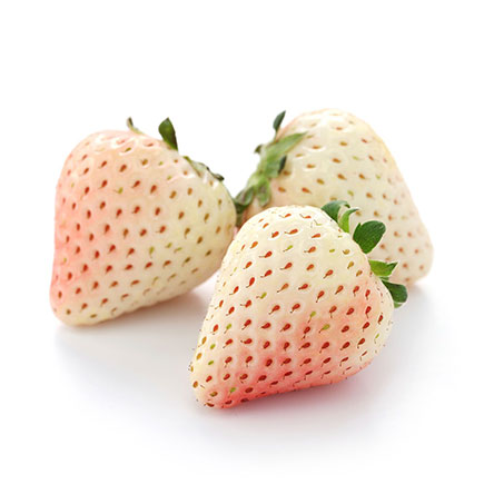 Strawberry Extract (White)